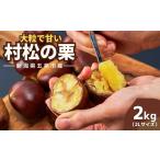 ふるさと納税 【先行予約】くり 越後村松の栗（2Lサイズ 2kg）| 新潟県 五泉市 くり 栗 新潟県五泉市