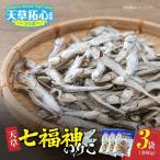 S168-002_天草七福神いりこ