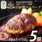 宮路ファームの自家製ハンバーグ5個 f-miyaji-7024