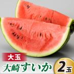大崎すいか 1箱