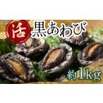 中泊直送 天然 ”活” 黒あわび 約1kg