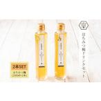 はちみつ 梅 ドリンク 2本セット 4倍希釈原液