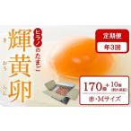 ふるさと納税 【定期便3回】ヒラノのたまご【輝黄卵(きおうらん)】赤Mサイズ　170個＋10個（割れ保証）｜卵 たまご タマゴ 定期便 福岡県筑前町