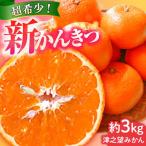 津之望 約3kg