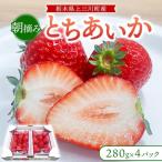 朝摘み完熟 とちあいか 栃木のイチゴ 大粒
