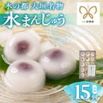 岐阜 大垣名物 水まんじゅう 15個