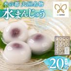 岐阜 大垣名物 水まんじゅう 20個