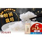 令和7年産 ななしま家 コシヒカリ 5kg