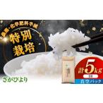 令和7年産 ななしま家 さがびより 5kg
