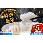 令和7年産 ななしま家 コシヒカリ 5kg