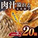 玉名餃子 20個