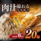 玉名餃子 20個