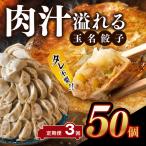 玉名餃子 50個