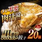 黒豚餃子 20個