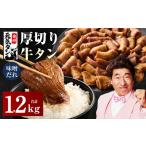 ふるさと納税 【年内発送】厚切り牛タン 1.2kg 秘伝の味噌だれ【300g×4P 牛肉 牛タン 牛たん 厚切り牛タン 焼肉 BBQ キャンプ アウトドア.. 大阪府泉佐野市