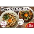 ふるさと納税 うどん カレー うどん