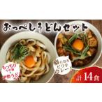 ふるさと納税 うどん カレー うどん