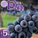 種無し巨峰 4房~5房_種無し 巨峰 1房 約400g