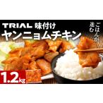鶏肉 ヤンニョムチキン 1.2kg