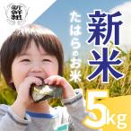 新米 5kg