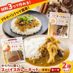 カレー 食べ比べ カレーキット 全12人前