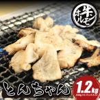ホルモン 牛肉 牛ホルモン 1.2kg
