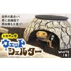 爬虫類 ウェットシェルター セキグチタカヒト