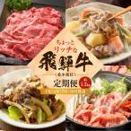 ちょっとリッチな飛騨牛 希少部位 定期便