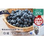 fu.... налог [ установленный срок рейс ].. ферма. север часть высокий втулка голубика [ рефрижератор плоды ]380g×3 раз | голубика LJ100 Gifu префектура высота гора город 