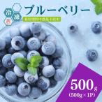 冷凍ブルーベリー500g 500g×1パック