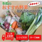 季節の野菜おまかせ詰め合わせ3ヵ月定期便