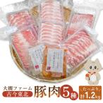 大槻ファーム 豚肉5種類セット 計1.2kg