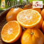 有田みかん 未来への虹 5kg