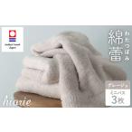 ふるさと納税 （今治タオルブランド認定）わたつぼみ 綿蕾 ミニバスタオル 3枚セット グレージュ【I003820MBT3GG】 愛媛県今治市