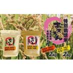 ふるさと納税 【2025年