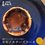 カキノキ チーズケーキ 冷凍 4号 ブルーベリー