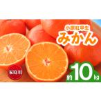 ふるさと納税 先行予約 訳あり みかん 蜜柑 約10kg 小原紅早生 小原紅早生みかん 柑橘 オレンジ 家庭用 11月下旬〜12月下旬 配送 香川県 丸亀市 香川県丸亀市