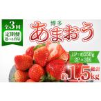 博多あまおう 総計約1.5kg いちご 苺