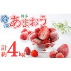 冷凍 博多あまおう 計約4kg いちご イチゴ