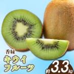 キウイ 香緑 約3.3kg