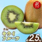訳あり キウイ 香緑 約2.5kg