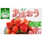 博多あまおう 総計約3kg いちご 苺 フルーツ