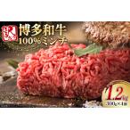 牛ミンチ 訳あり 博多和牛 100% ミンチ