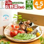 旬のお野菜セット 栽培期間中農薬不使用