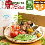 旬のお野菜セット 栽培期間中農薬不使用