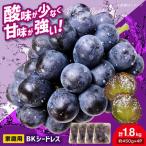 ぶどう BKシードレス 計1.8kg