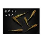 メダカ 琥珀ラメみゆき 3ペア