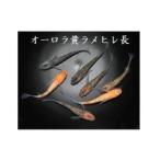 メダカ オーロラ黄ラメヒレ長 2ペア