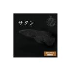 メダカ サタン 2ペア