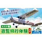 セスナ機遊覧飛行体験 ペア フライトC 約15分コース